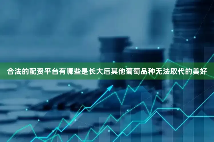 合法的配资平台有哪些是长大后其他葡萄品种无法取代的美好